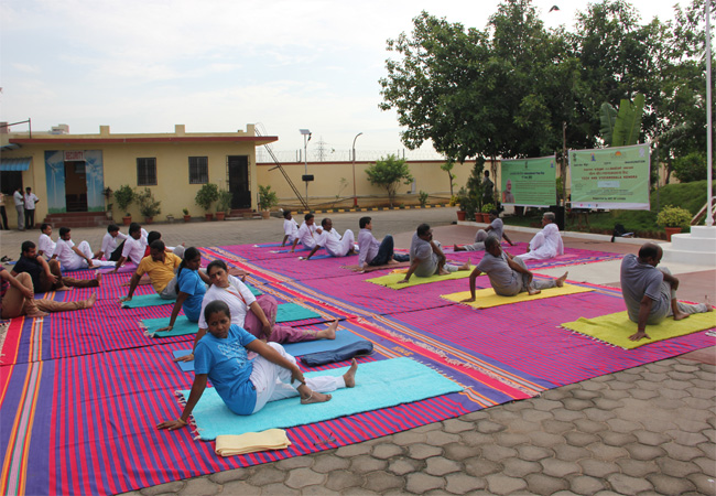 3rd International Yoga Day