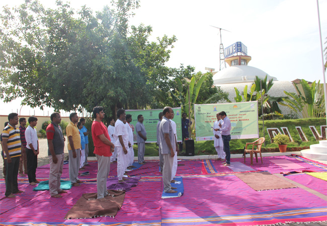 3rd International Yoga Day